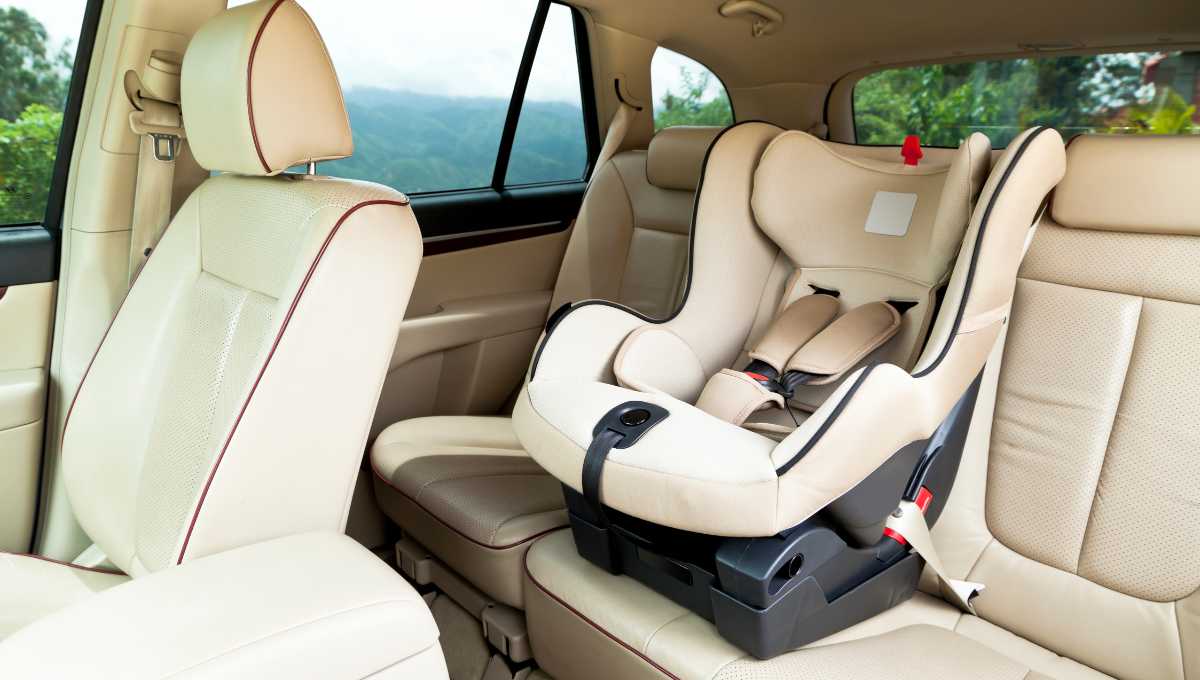 Best Luxury Car Seat Stroller Combo